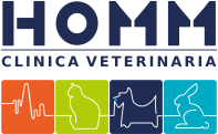 branding logo